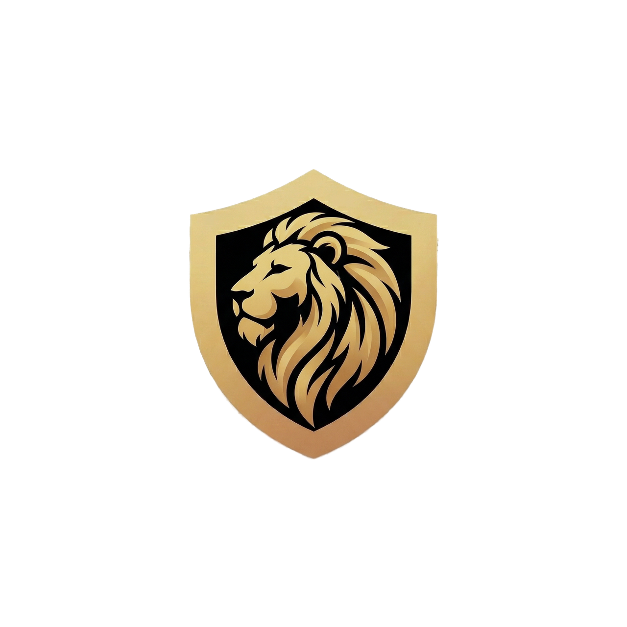 Leva VPN